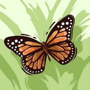 Meet your Posher, Dannylee